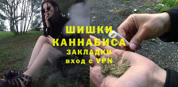 сатива Аркадак