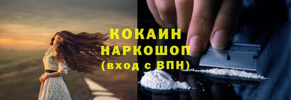 сатива Аркадак