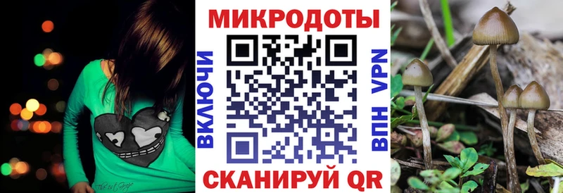 где купить наркоту  Белорецк  Псилоцибиновые грибы мицелий 